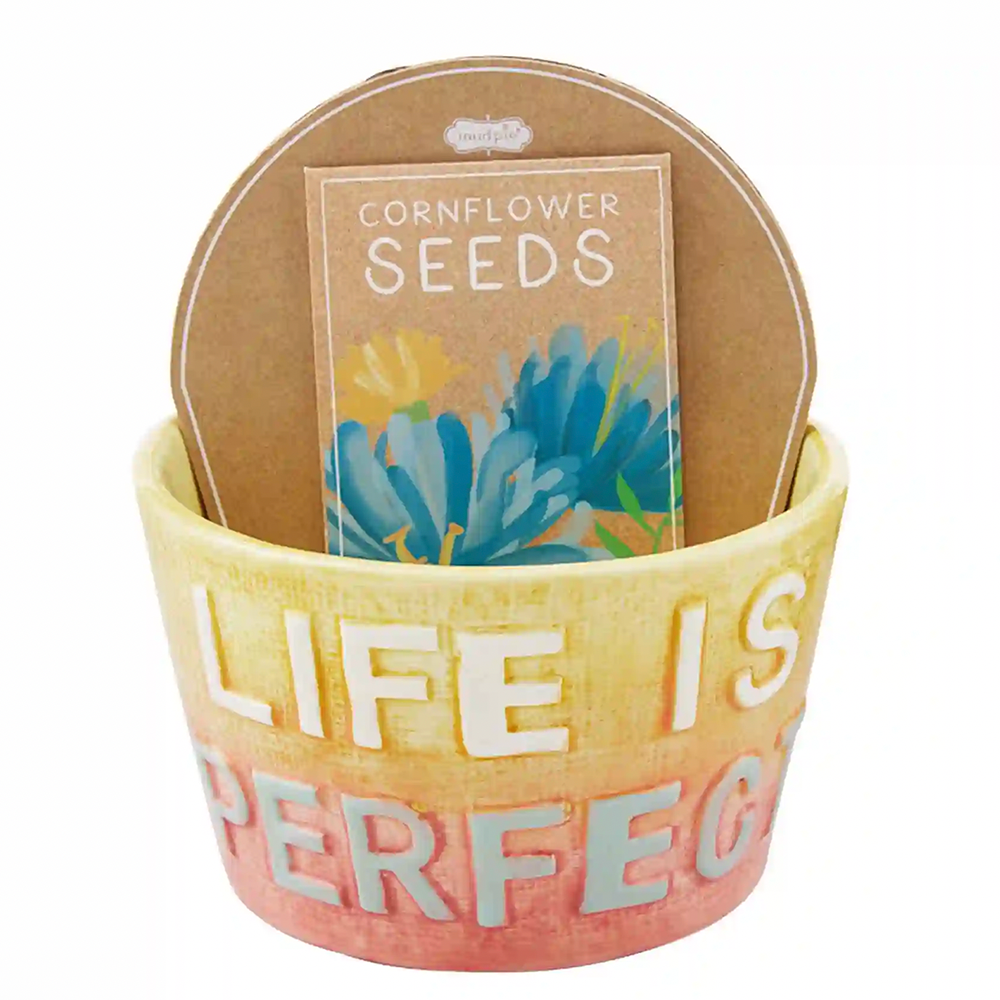 "Life is Perfect" Planter Set, Shopsweetluluss
