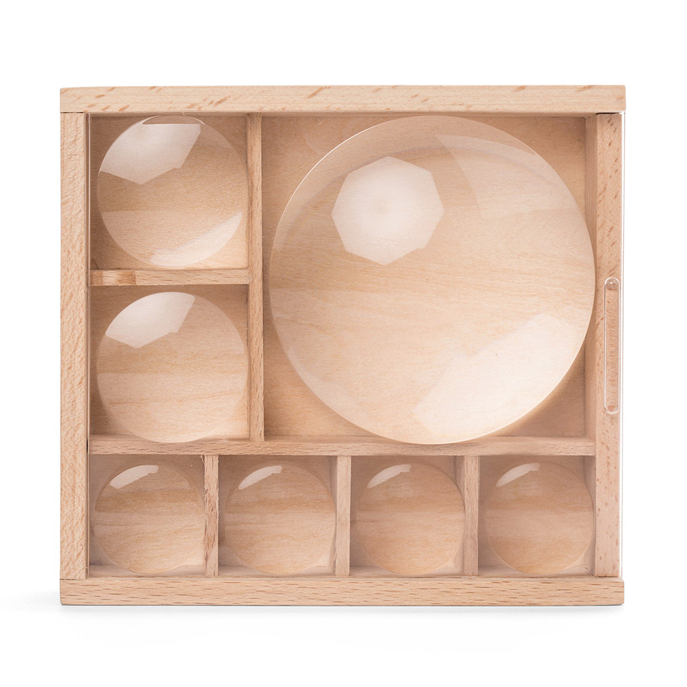 "My Little Museum" Bug Box, Shopsweetluluss