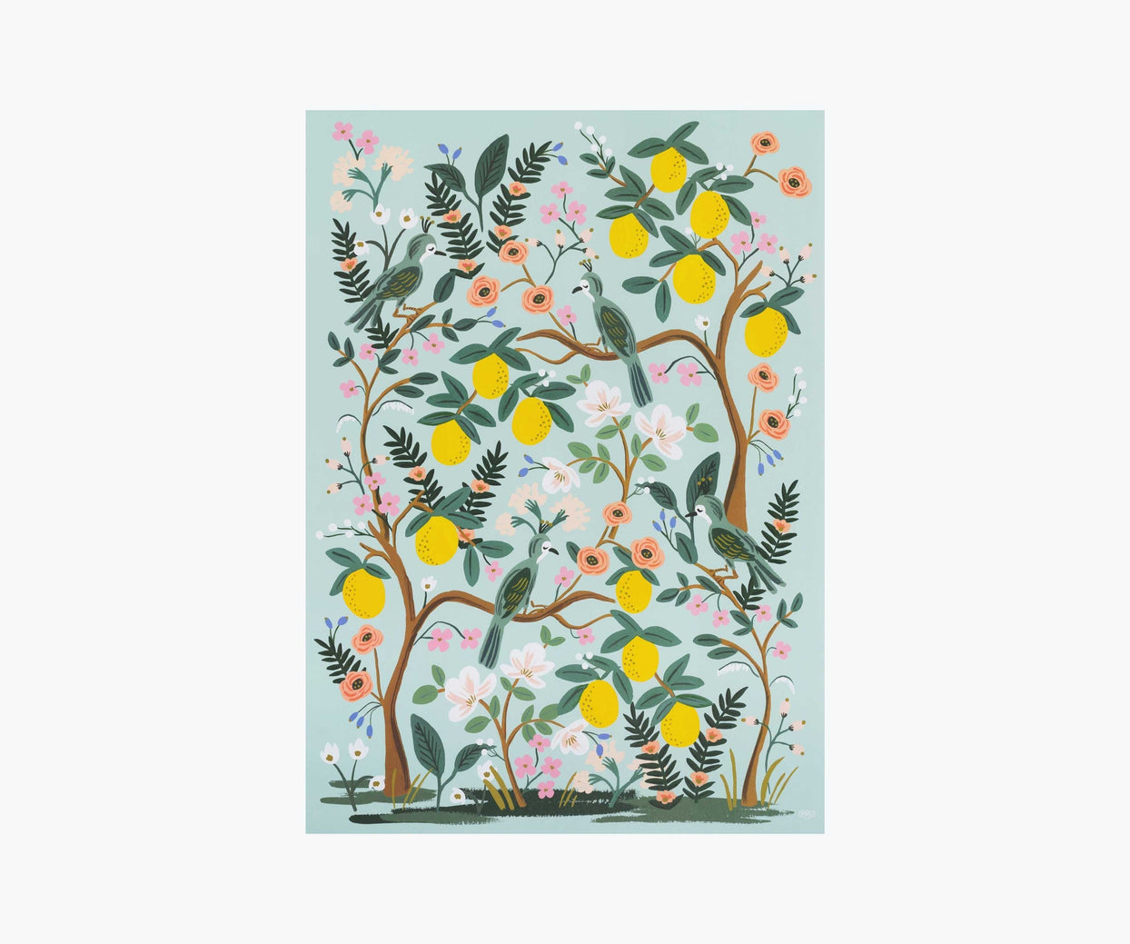 Floral Wrap Sheets, Garden, Jollity & Co
