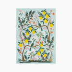 Floral Wrap Sheets, Garden, Jollity & Co